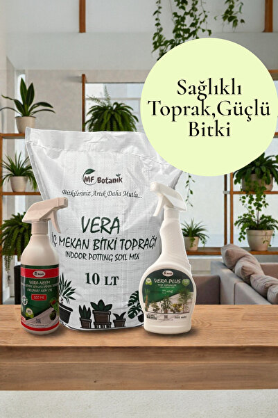 MF Botanik İç Mekan Bitkileri Yaşam Seti - 3 Lü Vera Serisi