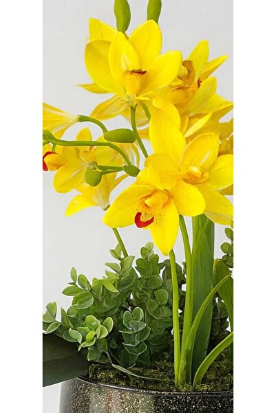 Home Siyah Işıltı Sarı orkide Aranjman