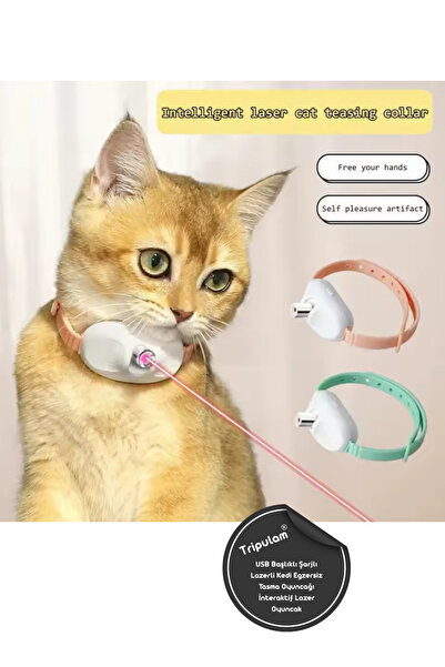 TRİPULAM USB Şarjlı Lazerli İnteraktif Kedi Oyuncağı – Otomatik Egzersiz Tasm...