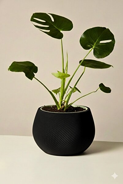 3D Kendini Sulayan Modern Saksı – Plastik Otomatik Su Depolamalı Saksı / İç M...