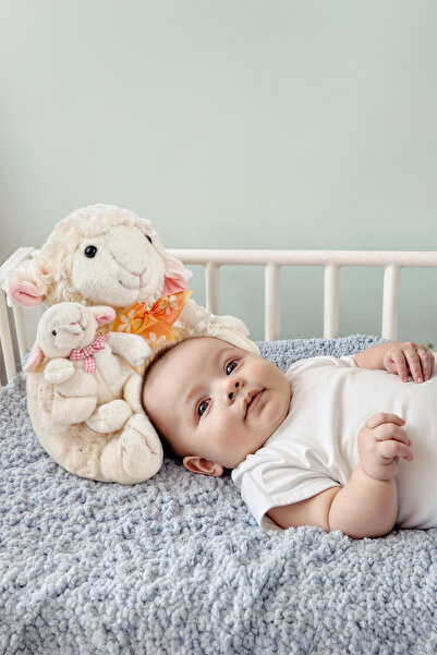 BİRLİK TOYS MASAL ANLATAN YAVRULU KUZU PELUŞ