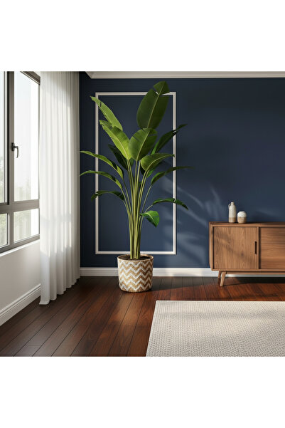 Green Starliçe – Üç Köklü Büyük Boy 180–200 cm | Cennet Kuşu Çiçeği | Gösteri...