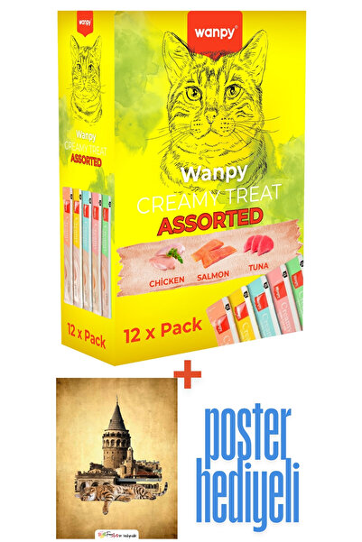 Wanpy Karışık Deniz Ve Et Aromalı Sıvı Kedi Ödül Maması 12’li