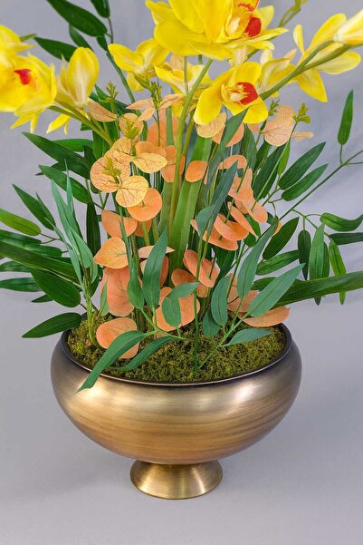 Home Sarı Orkide Premium Aranjman