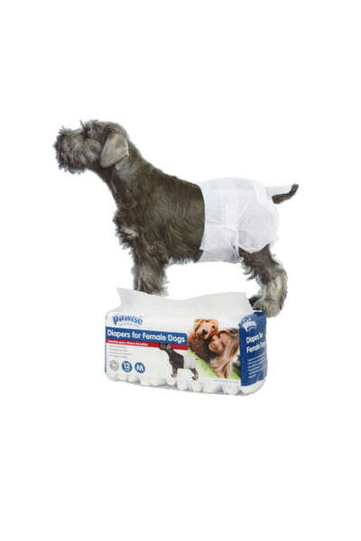 Pawise Sptrns Dog Underwear XL Size (224113) 12 Pieces