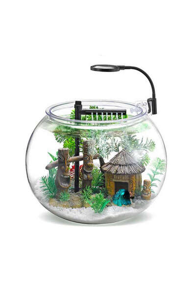 Genel Markalar SPTRNS Masasüstü Beta Seti 12 (231538) L Faunus