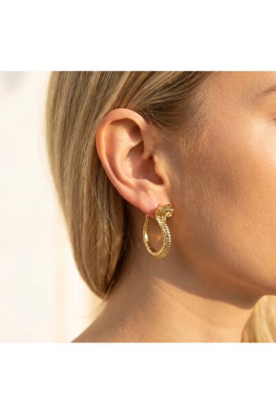 Candy Yılan Şeklinde Halka Küpe