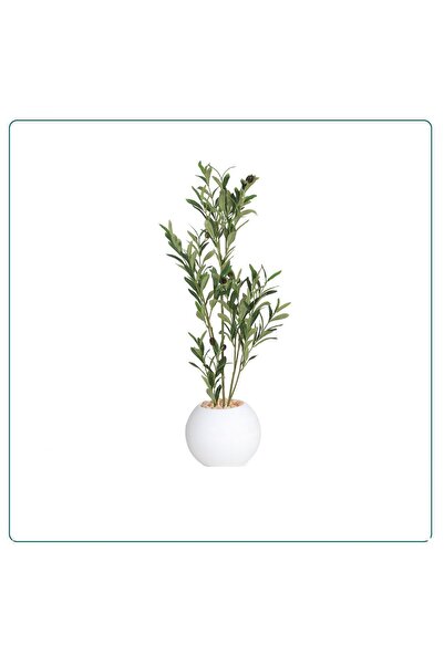 SADANHOME Olive tree plastic pot - 90 cm
