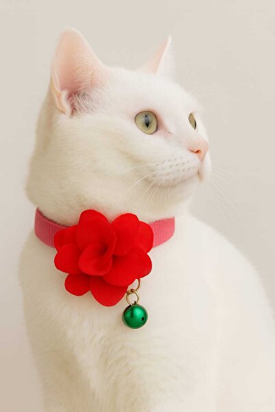 MIT طوق للقطط ذو جرس مزدوج باللون الوردي مع زهور