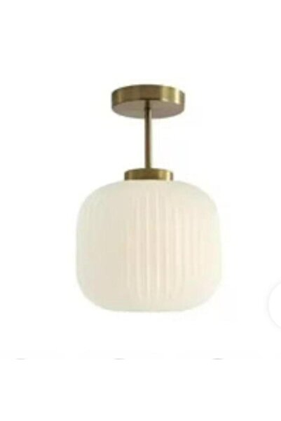Rsylight Retro beyaz Elips Tavan Plofyoner Dekoratif Rustik Avize Çap:20 cm