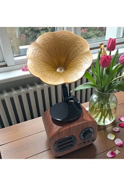 GÜÇLÜ Ahşap Kaplamalı Vintage Stili Bluetooth Hoparlör/radyo nostalji