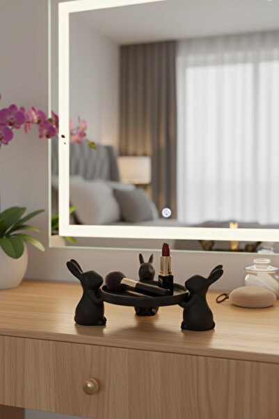 Oxyteez Cute Decorative Makeup Jewelry Organizer Desktop Organizer