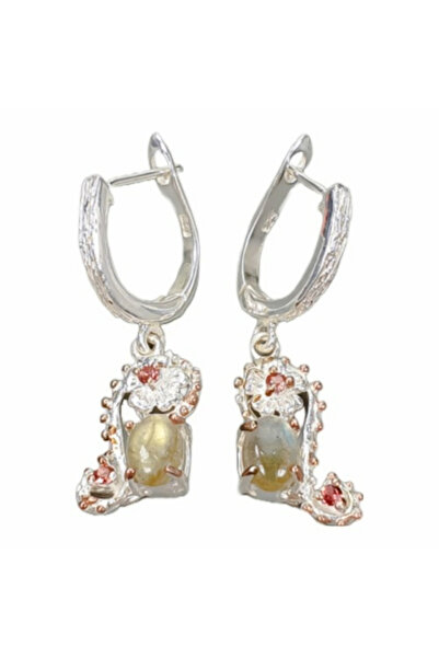 FashionBijoux Cercei bijuterie din argint 925 cu labradolit si rodolit