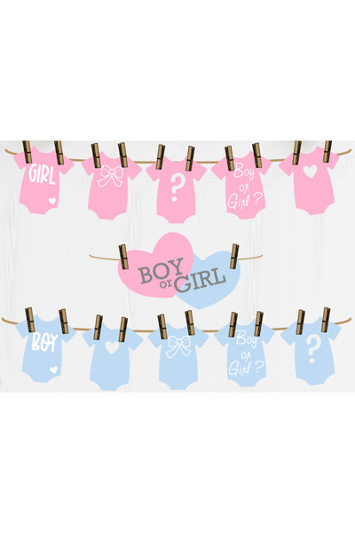 Hiras Dizayn 11 Pieces Baby Shower Party String Banner Boy or Girl Blue/Pink Baby Shower Decorations