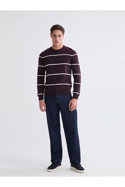 LC Waikiki Crew Neck Long Sleeve Striped Men's Knitwear Sweater