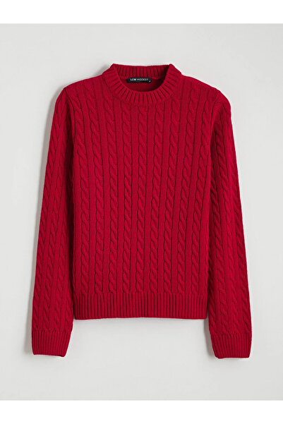 LC Waikiki Crew Neck Self Patterned Women's Knitwear Sweater