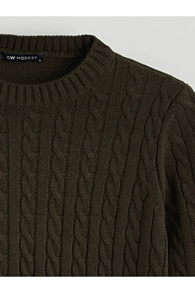 LC Waikiki Crew Neck Self Patterned Women's Knitwear Sweater