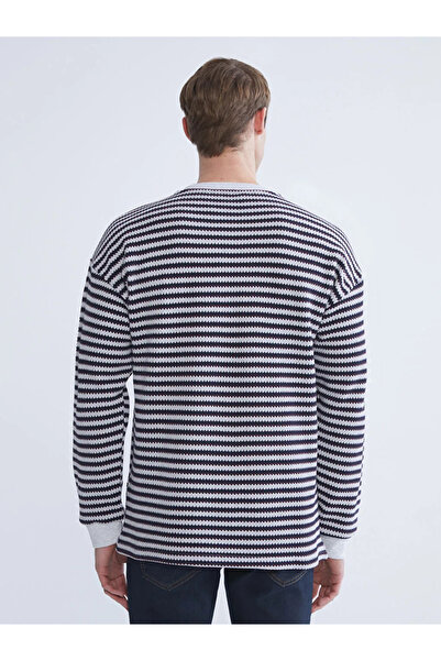 LC Waikiki Crew Neck Striped Men's Knitwear Sweater