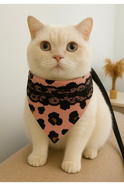 Canbutik Custom Made Handcrafted Cat and Dog Collar