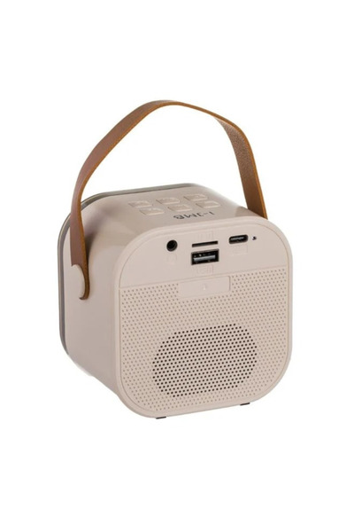 OEM 5W Karaoke Speaker Set with RGB Light & 2 Wireless Microphones