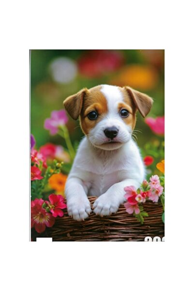 Global Calendar cu caini, A3 format, 12 file,