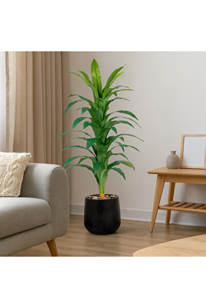 SADANHOME Corn plant in the middle of a plastic pot - 155 cm