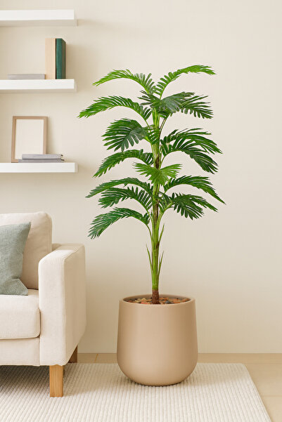 SADANHOME Palm tree, 1 branch, plastic pot - 155 cm