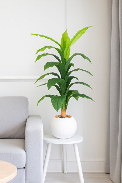 SADANHOME Green tree in a plastic pot - 130 cm