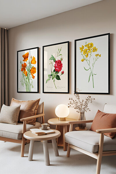 Zestia Set de 3 tablouri cu ramă neagră, flori botanice – schiță colorată, se...