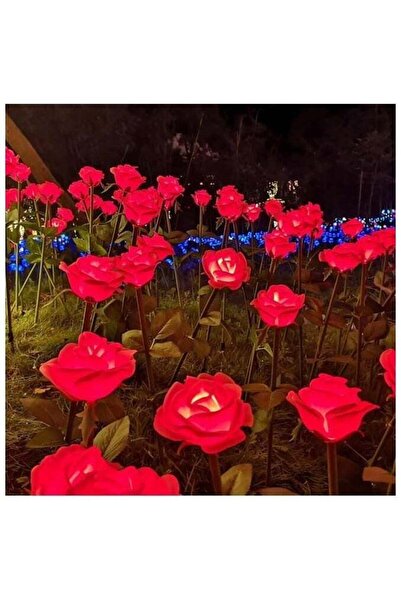 Dekorly مصابيح شمسية خارجية مقاومة للماء تعمل تلقائيًا وإيقاف التشغيل وأضواء ...