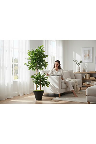 ERHAN FLOWERS Yapay Çiçek siyah Saksıda Benjamin Salon Balkon Ev Ağacı Yeşil Bitkisi Bambu Gövdeli Dolgun 165 cm