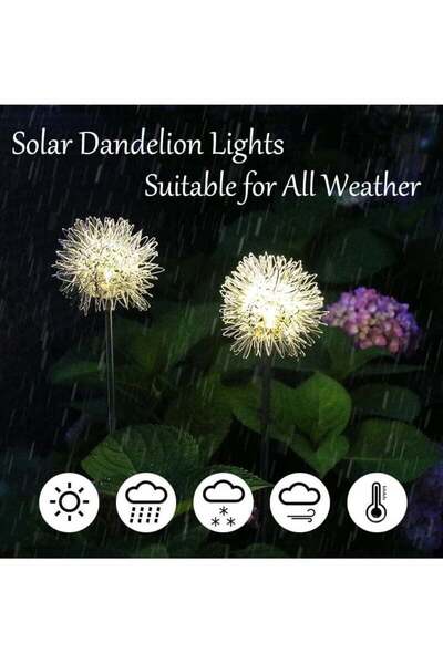 Generic Solar Garden Lights Outdoor, Auto On/Off, IP65 Waterproof - Solar Powered Decorative Lights for Yard
