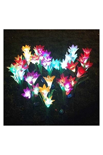 BLOOMING TIME Waterproof Outdoor Solar Lily Flower Stake Lights (2-Pack)