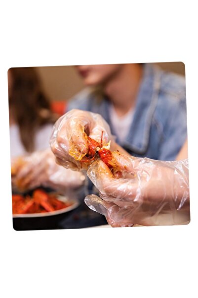 OEM Individually Wraed Disposable Gloves Pe Gloves Plastic Disposable Gloves Food Service Gloves 100