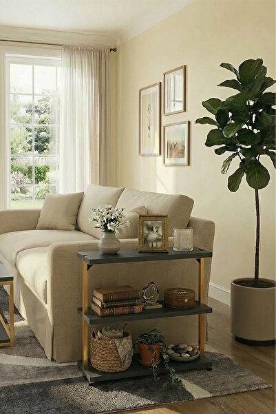 Euromob 3 Raflı, Yan Sehpa, Koltuk yanı, Orta Sehpa, Kitaplık, Sehpa, Gold Metal