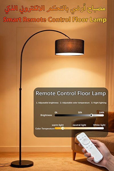 DIDA Floor Lamp Smart Remote Control Light Adjustable Color Temperature And B...