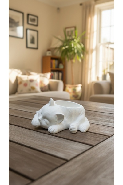 Dilek Öz Hediyelik Kedi dekoratif obje heykel saksı