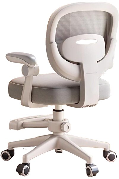 Saharaz كرسي غرفة المعيشة، كرسي كمبيوتر عصري وبسيط، أثاث مريح للمكتب والدراسة...