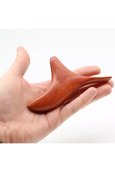 ESTREA Instrument masaj lemn Y