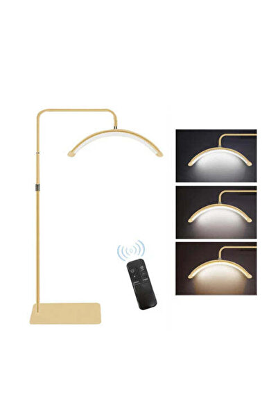 Sophie Lashes Crescent Moonlight Lamp - Gold (57 cm, 36W, 2800LM)