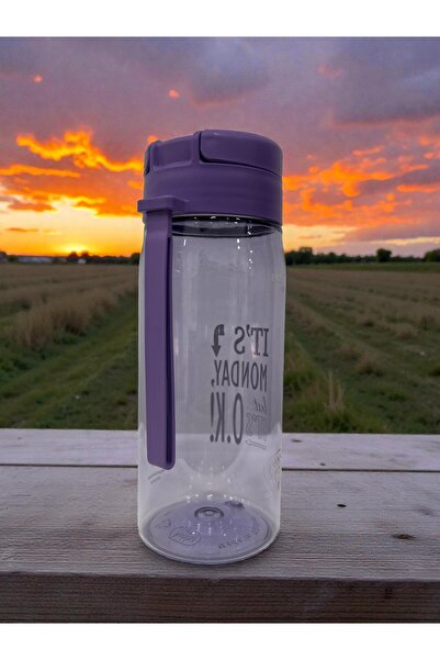 Online Home Market Pure Water Bottle – Water Container with Strainer |   550 ml & 750 ml