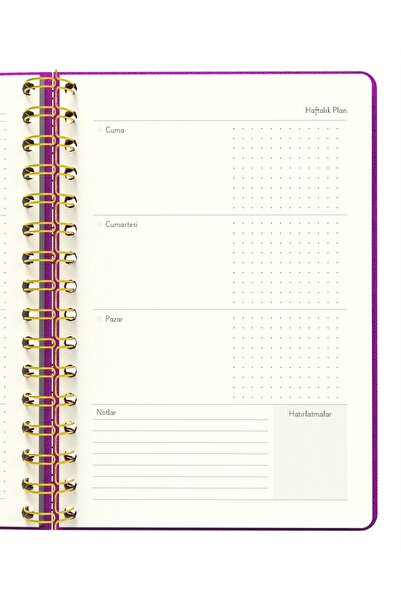 Meli Melek Melimelek Planner Pink (Paperback) - Ceyda Düvenci