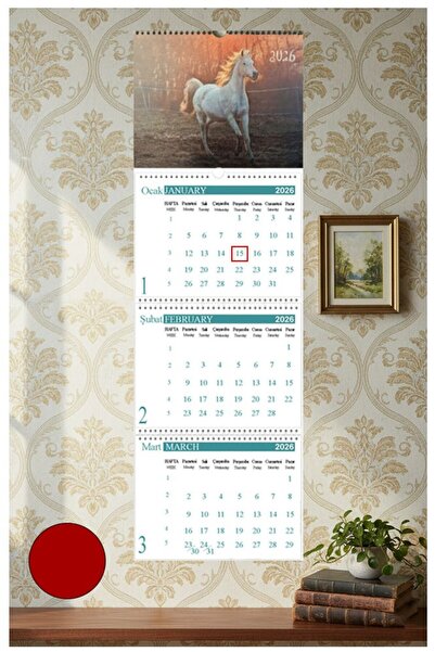 Artlantis 2026 Duvar Takvimi 3 Aylık Hayvan Resimli Gemici Takvimi 3 Parça Spiralli Takvim Jumbo Boy Askılı Ye