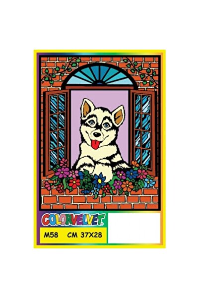 Colorvelvet Plansa de colorat catifea Color Velvet Catel, 28 x 37 cm, 4 ani +