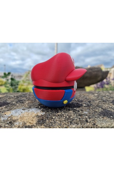 axelon Pokemon Mario Themed Pokeball