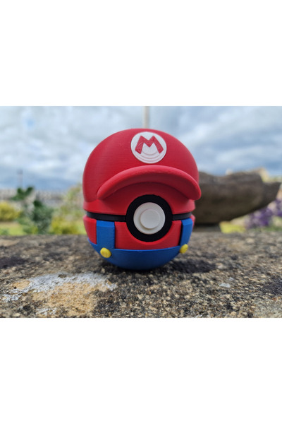 axelon Pokemon Mario Themed Pokeball