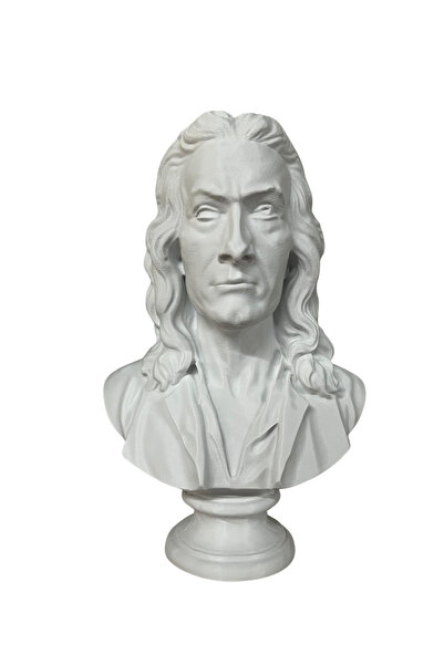 Root Made Isaac Newton Büstü – 25 cm Dekoratif Heykel | Sanat, Bilim ve Ofis Masaüstü Dekoru