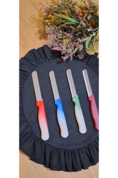 KİRAZ ÇİÇEĞİ EVİM Solingen micro 4lü bıçak