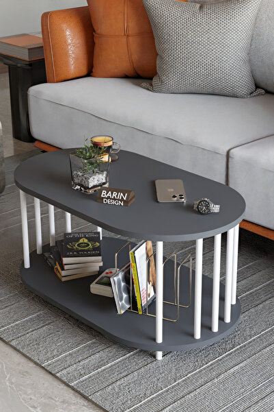 BARIN DESIGN Modern Oval Orta Sehpa Çift Katlı Metal Ayaklı Salon, Ofis, Dekoratif Sehpa, Beyaz Demir
