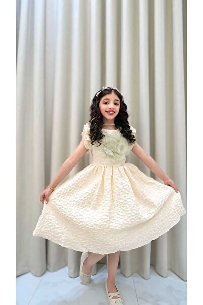 Generic Girls' dress with embossed patterns, ruffled sleeves, and a flower on the chest